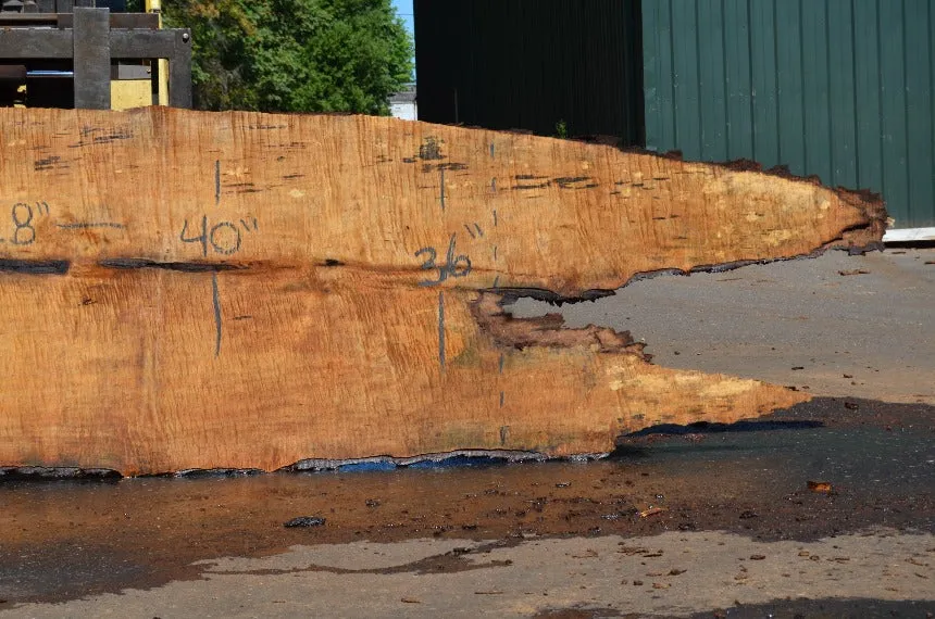 Big Leaf Maple Slab 072121-14