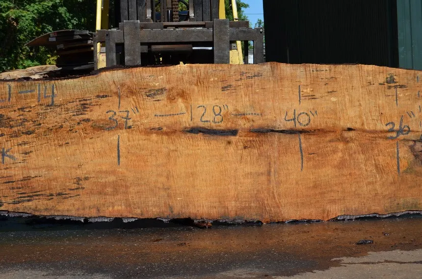 Big Leaf Maple Slab 072121-14