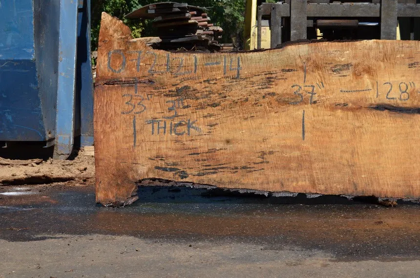 Big Leaf Maple Slab 072121-14