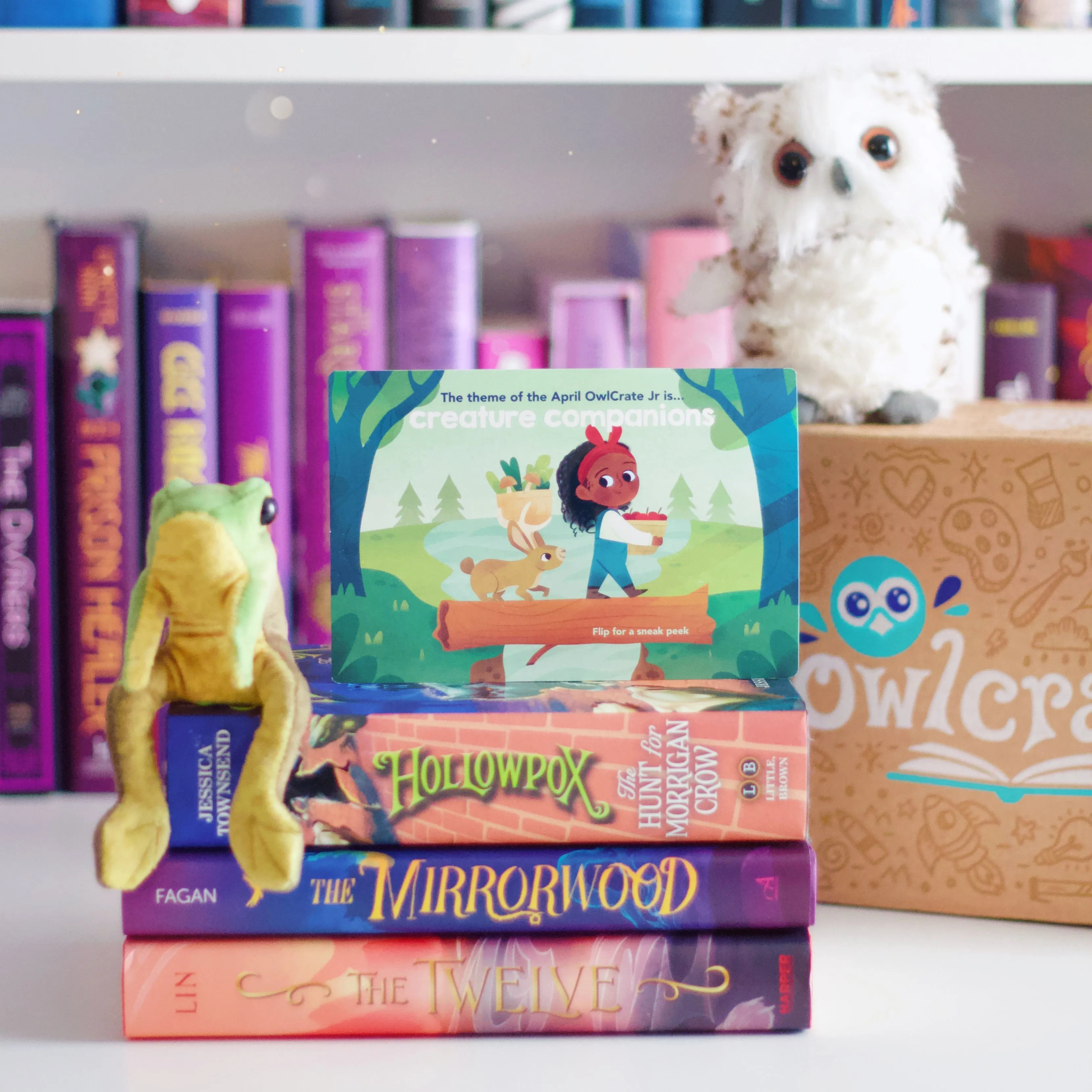 OwlCrate Jr's 'FAMILY TIES' Box